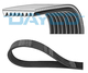 MULTIRIEM DAYCO 8PK1035HD